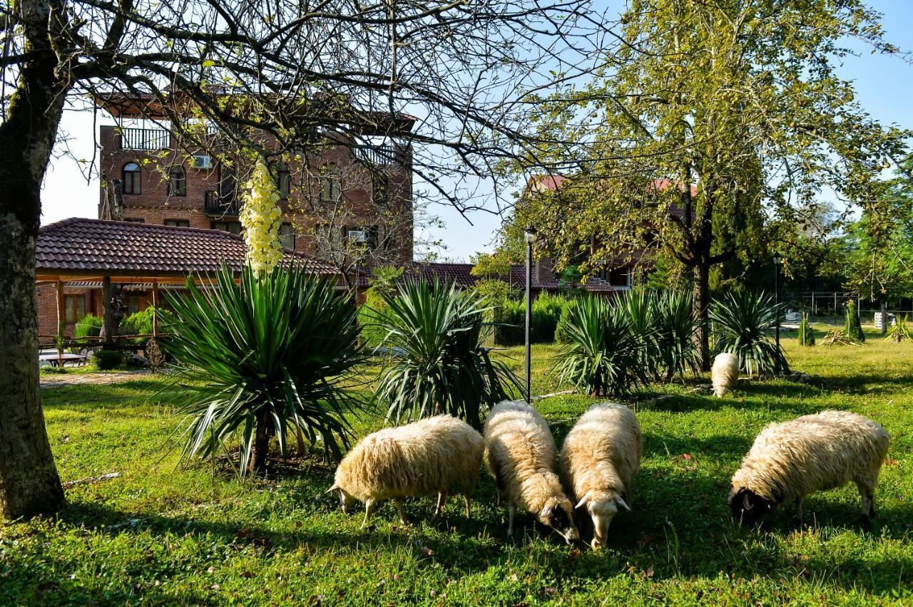 Hotel Chateau Chikovani Gordi Esterno foto