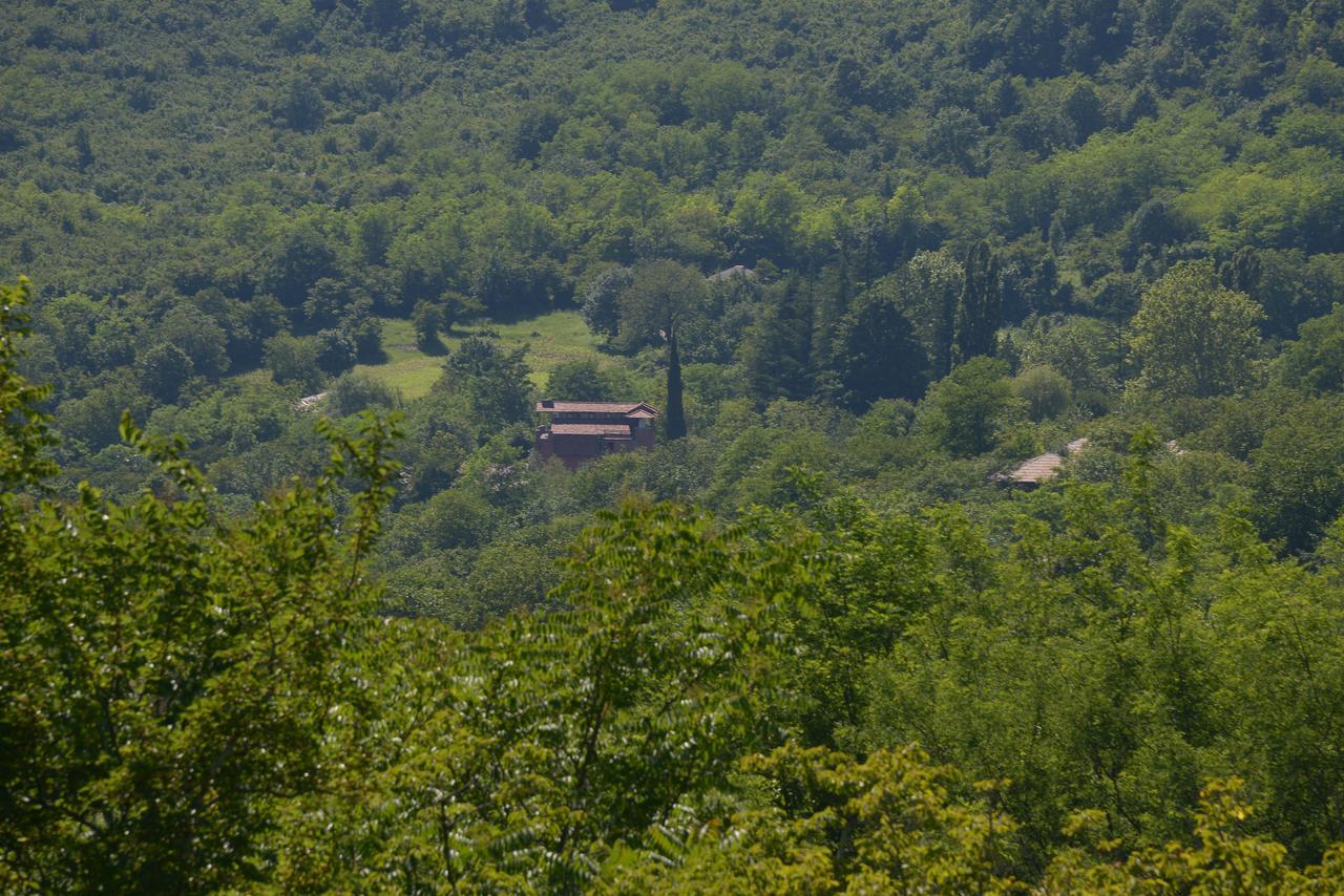 Hotel Chateau Chikovani Gordi Esterno foto